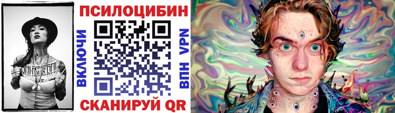 где купить   Козловка  Псилоцибиновые грибы MAGIC MUSHROOMS 