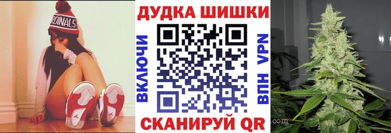 как найти наркотики  Козловка  Шишки марихуана SATIVA & INDICA 
